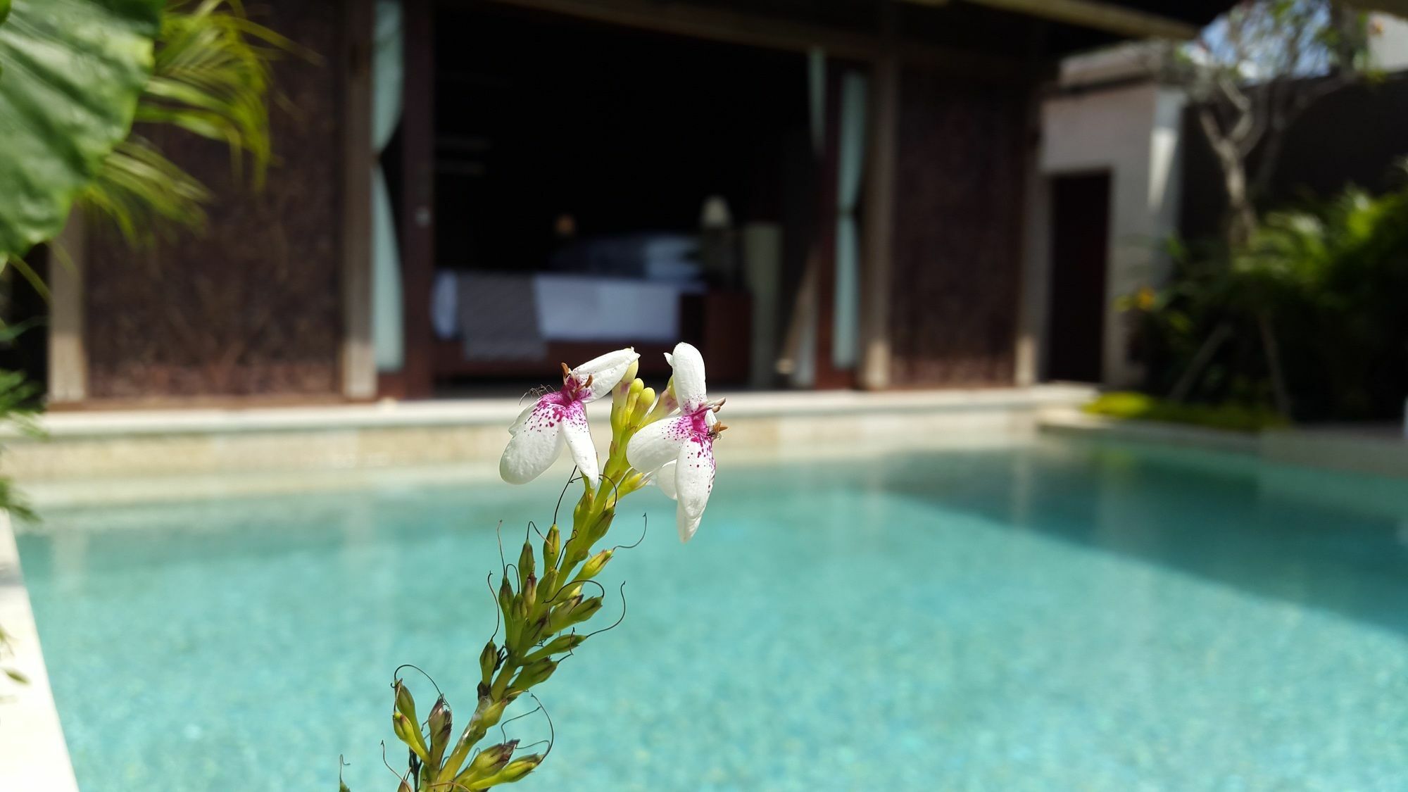 Sri Abi Ratu Villa&Resort Sukawati Esterno foto